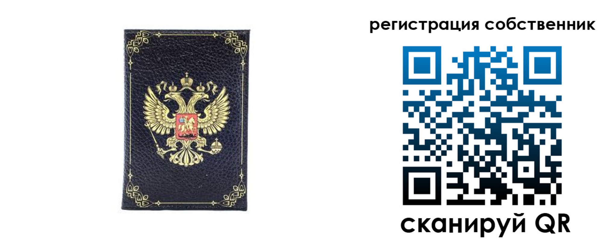 прописка законно в Каменке